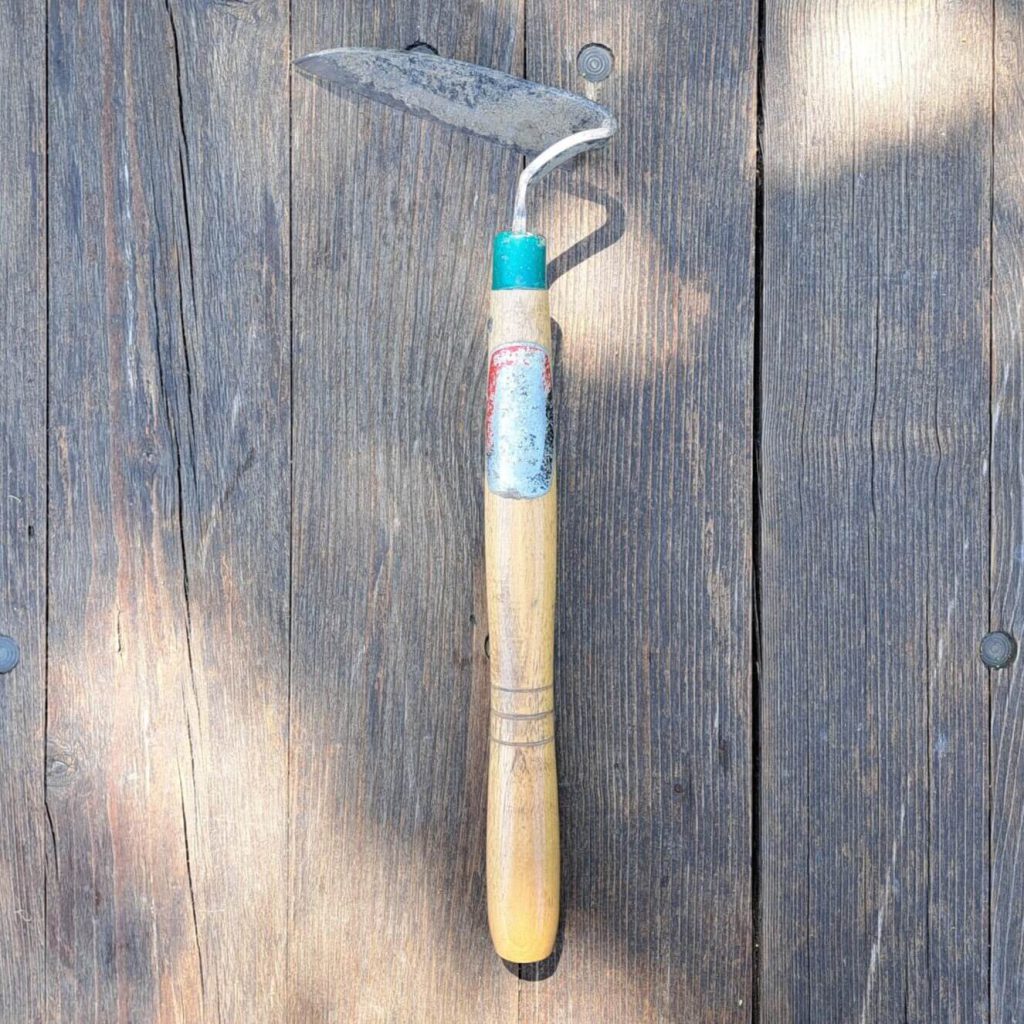 Japanische Sichelhacke: beim durch den Boden Ziehen werden Beikrautwurzeln durchgeschnitten