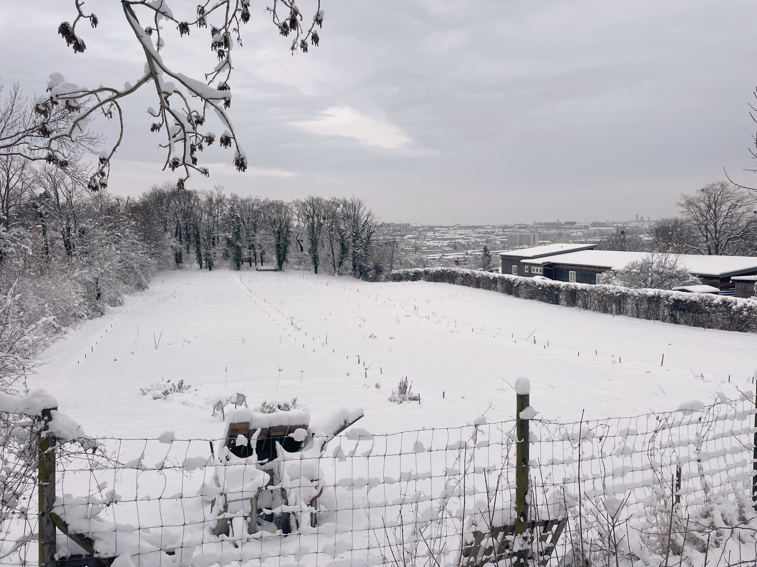 Das Selbsterntefeld ruht, wir arbeiten aber fleißig am kommenden Jahr. Die gesamte Planung ist zu diesem Zeitpunkt schon abgeschlossen und wir bereiten uns auf den kommenden Frühling und die Bodenbearbeitung der Felder vor.