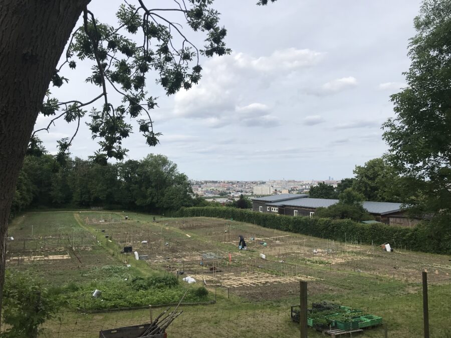 Termine
Wichtige Termine über das Jahr
Vom Infoaben, über die Saatgutübergabe, Saisonbeginn und Übergabe der Gartenparzellen, Jungpflanzebnübergabe, Mäharbeiten, Infonachmittag und unser angepeiltes Saisonende 